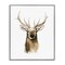 Stupell Industries Deer Portrait Watercolor Framed Giclee Art